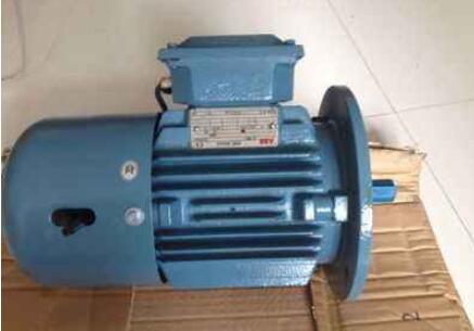 制動(dòng)電機